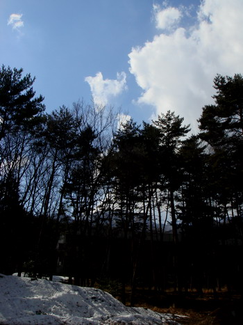 白州蒸溜所の青空